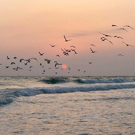 Lido Key Hideout With Patio And Yard And Walk To Beach! Sarasota Eksteriør bilde